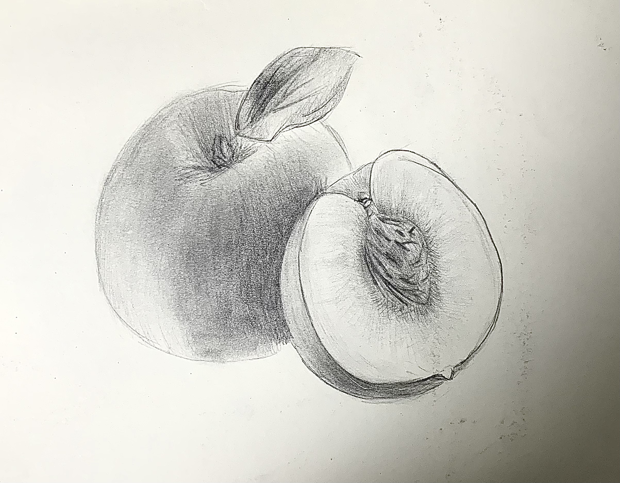 Sketch of a peach